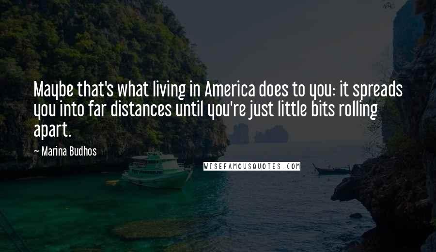 Marina Budhos Quotes: Maybe that's what living in America does to you: it spreads you into far distances until you're just little bits rolling apart.