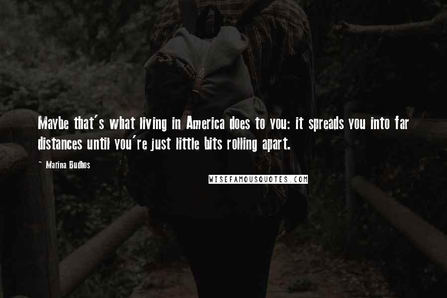 Marina Budhos Quotes: Maybe that's what living in America does to you: it spreads you into far distances until you're just little bits rolling apart.