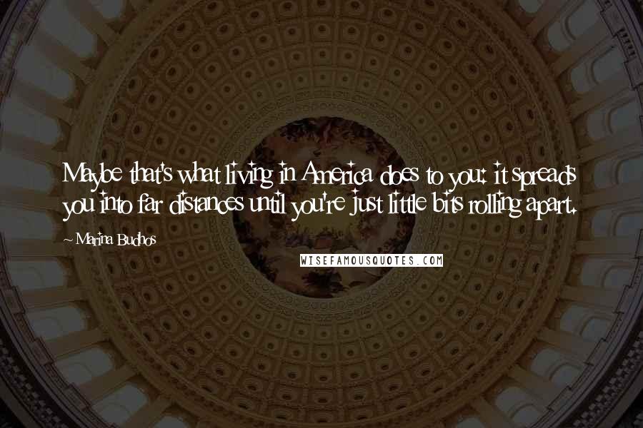 Marina Budhos Quotes: Maybe that's what living in America does to you: it spreads you into far distances until you're just little bits rolling apart.