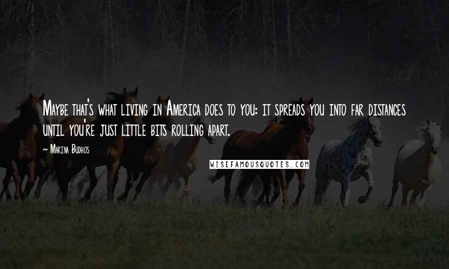 Marina Budhos Quotes: Maybe that's what living in America does to you: it spreads you into far distances until you're just little bits rolling apart.