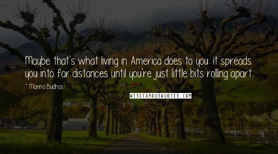 Marina Budhos Quotes: Maybe that's what living in America does to you: it spreads you into far distances until you're just little bits rolling apart.