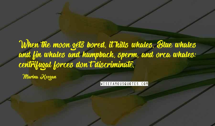 Marina Keegan Quotes: When the moon gets bored, it kills whales. Blue whales and fin whales and humpback, sperm, and orca whales: centrifugal forces don't discriminate.