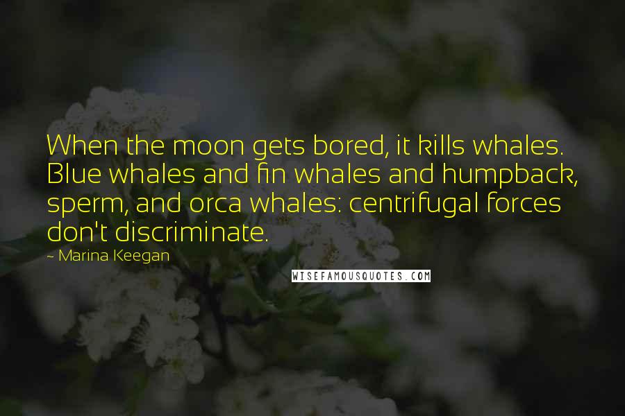 Marina Keegan Quotes: When the moon gets bored, it kills whales. Blue whales and fin whales and humpback, sperm, and orca whales: centrifugal forces don't discriminate.