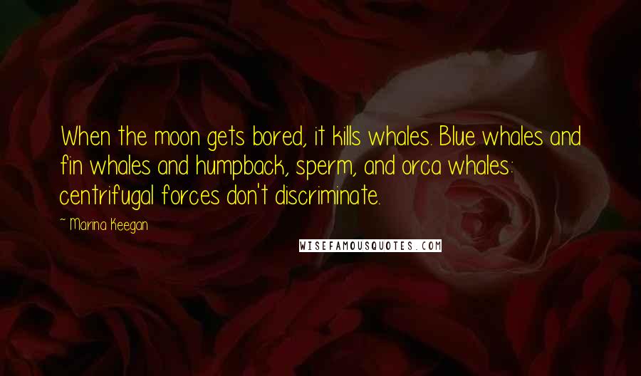 Marina Keegan Quotes: When the moon gets bored, it kills whales. Blue whales and fin whales and humpback, sperm, and orca whales: centrifugal forces don't discriminate.