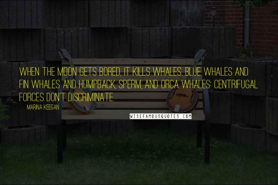 Marina Keegan Quotes: When the moon gets bored, it kills whales. Blue whales and fin whales and humpback, sperm, and orca whales: centrifugal forces don't discriminate.