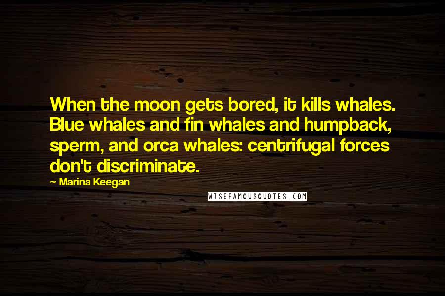 Marina Keegan Quotes: When the moon gets bored, it kills whales. Blue whales and fin whales and humpback, sperm, and orca whales: centrifugal forces don't discriminate.