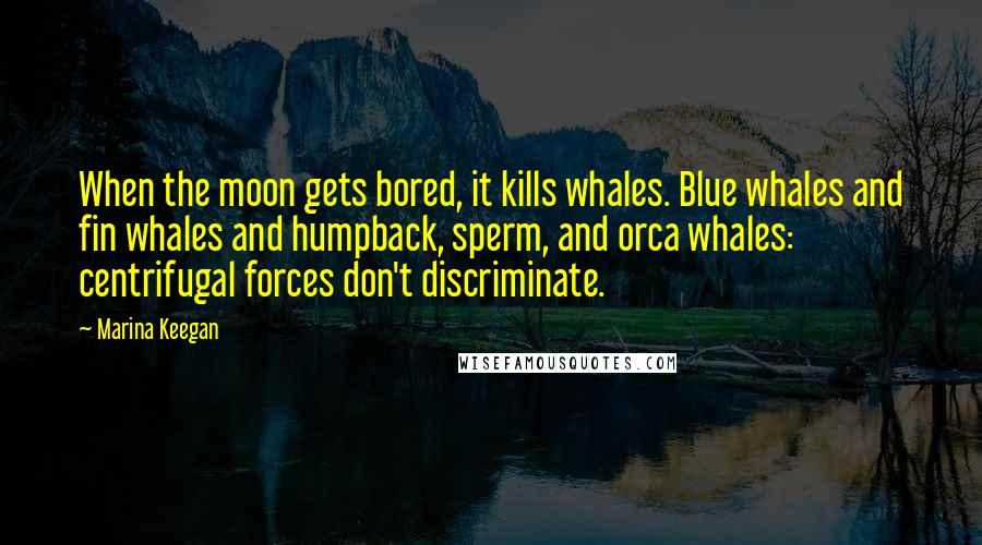 Marina Keegan Quotes: When the moon gets bored, it kills whales. Blue whales and fin whales and humpback, sperm, and orca whales: centrifugal forces don't discriminate.