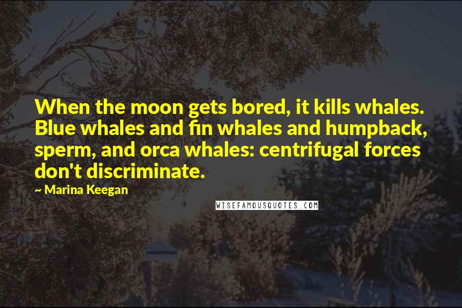 Marina Keegan Quotes: When the moon gets bored, it kills whales. Blue whales and fin whales and humpback, sperm, and orca whales: centrifugal forces don't discriminate.