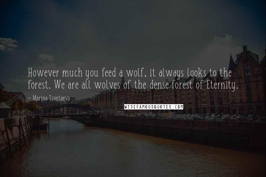 Marina Tsvetaeva Quotes: However much you feed a wolf, it always looks to the forest. We are all wolves of the dense forest of Eternity.