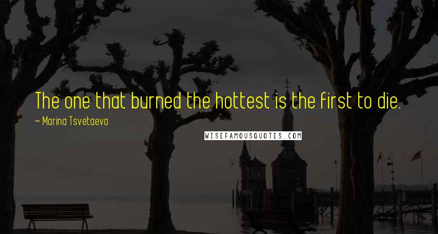 Marina Tsvetaeva Quotes: The one that burned the hottest is the first to die.