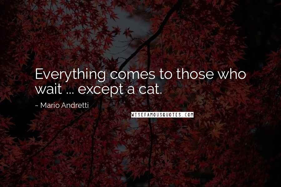 Mario Andretti Quotes: Everything comes to those who wait ... except a cat.