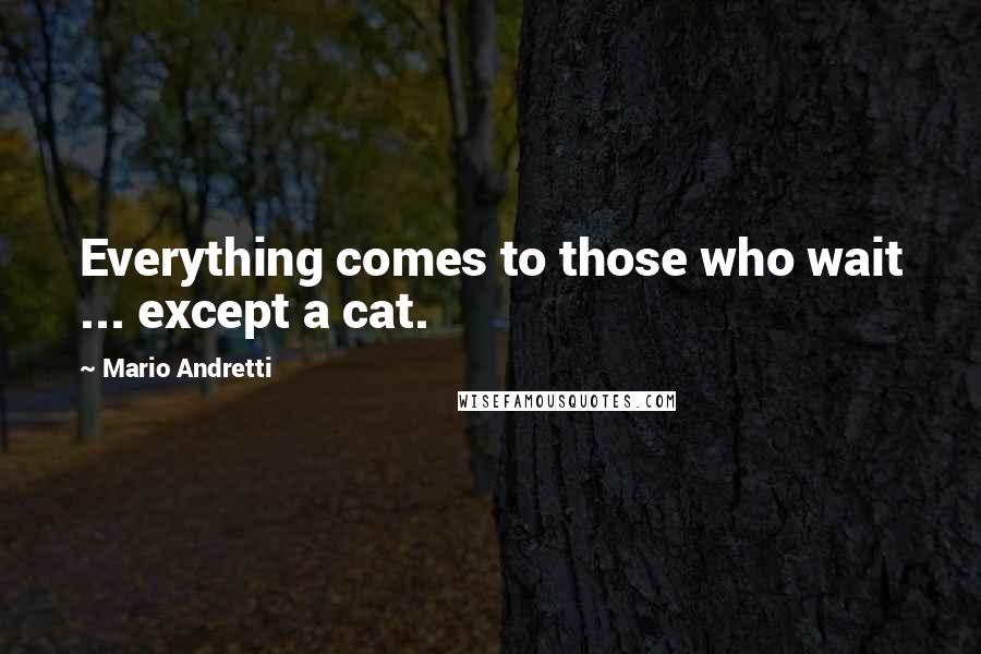 Mario Andretti Quotes: Everything comes to those who wait ... except a cat.