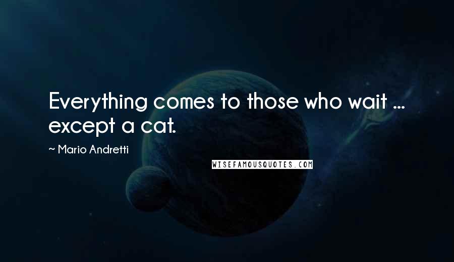 Mario Andretti Quotes: Everything comes to those who wait ... except a cat.