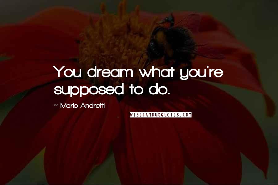 Mario Andretti Quotes: You dream what you're supposed to do.