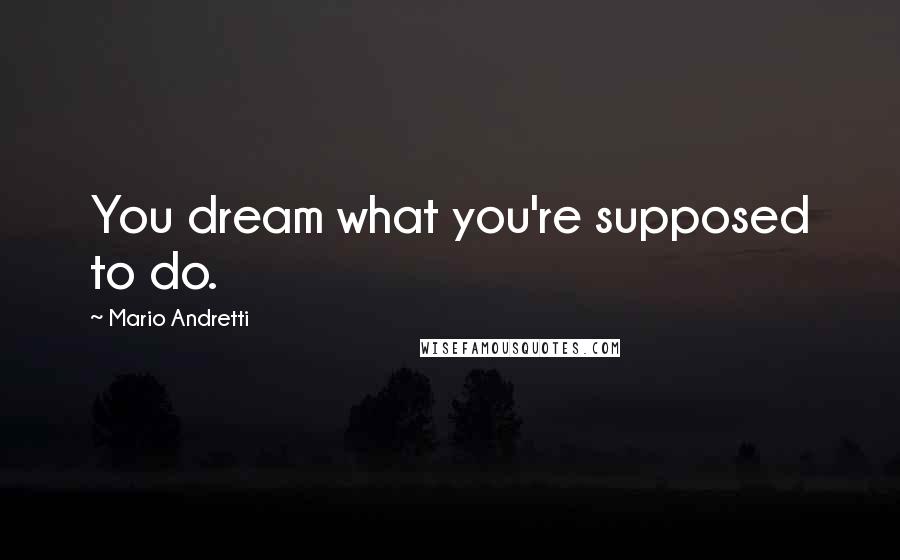 Mario Andretti Quotes: You dream what you're supposed to do.