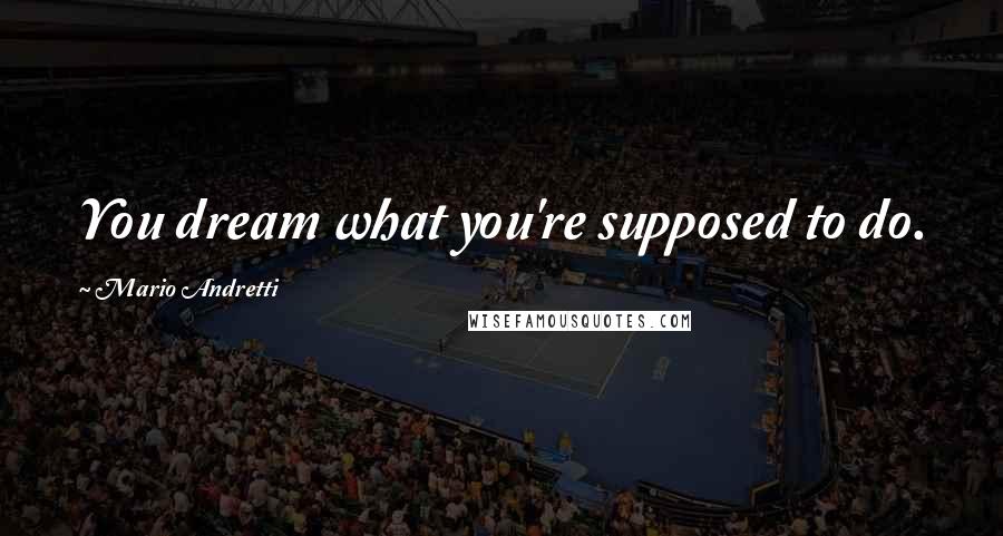 Mario Andretti Quotes: You dream what you're supposed to do.