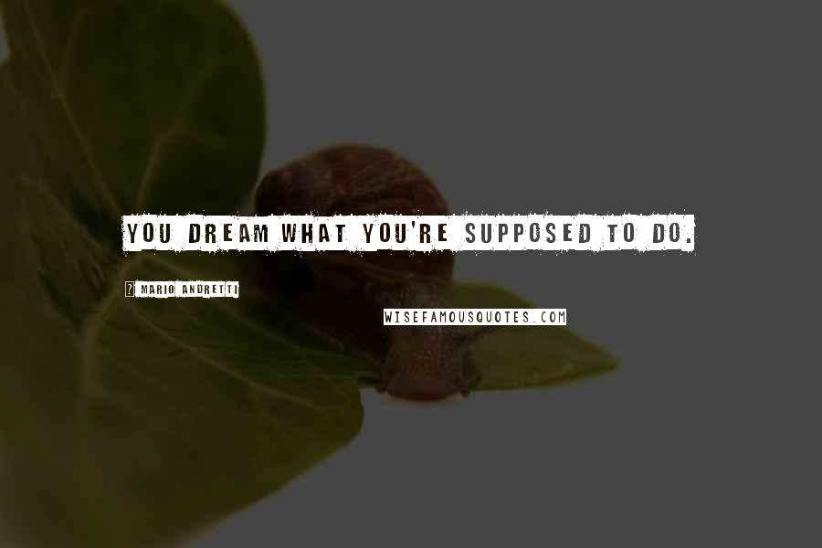 Mario Andretti Quotes: You dream what you're supposed to do.