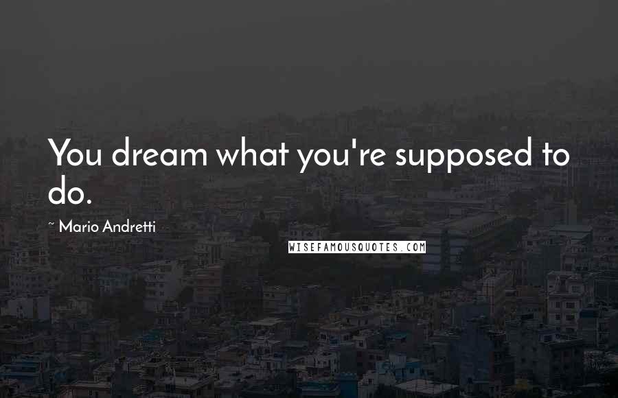 Mario Andretti Quotes: You dream what you're supposed to do.
