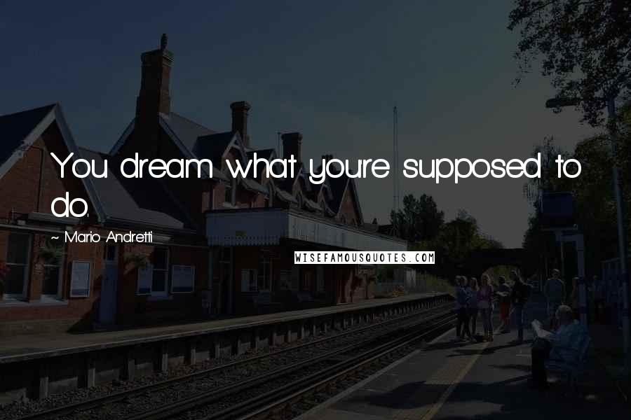Mario Andretti Quotes: You dream what you're supposed to do.