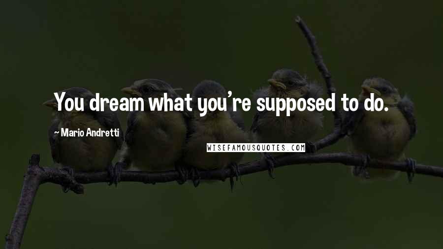 Mario Andretti Quotes: You dream what you're supposed to do.