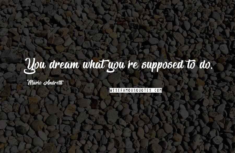 Mario Andretti Quotes: You dream what you're supposed to do.