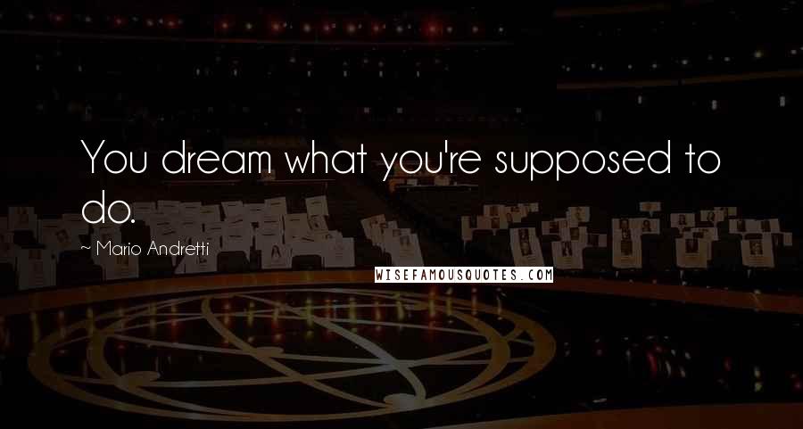 Mario Andretti Quotes: You dream what you're supposed to do.