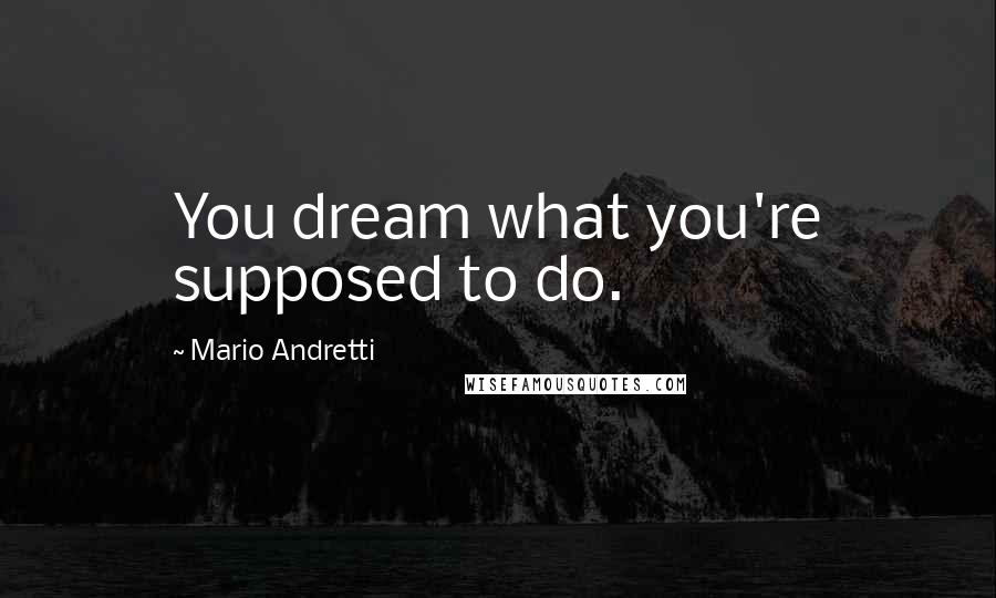 Mario Andretti Quotes: You dream what you're supposed to do.