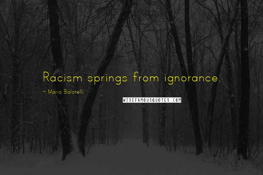 Mario Balotelli Quotes: Racism springs from ignorance.