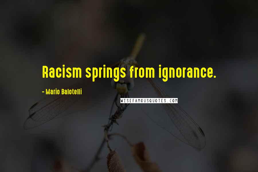 Mario Balotelli Quotes: Racism springs from ignorance.