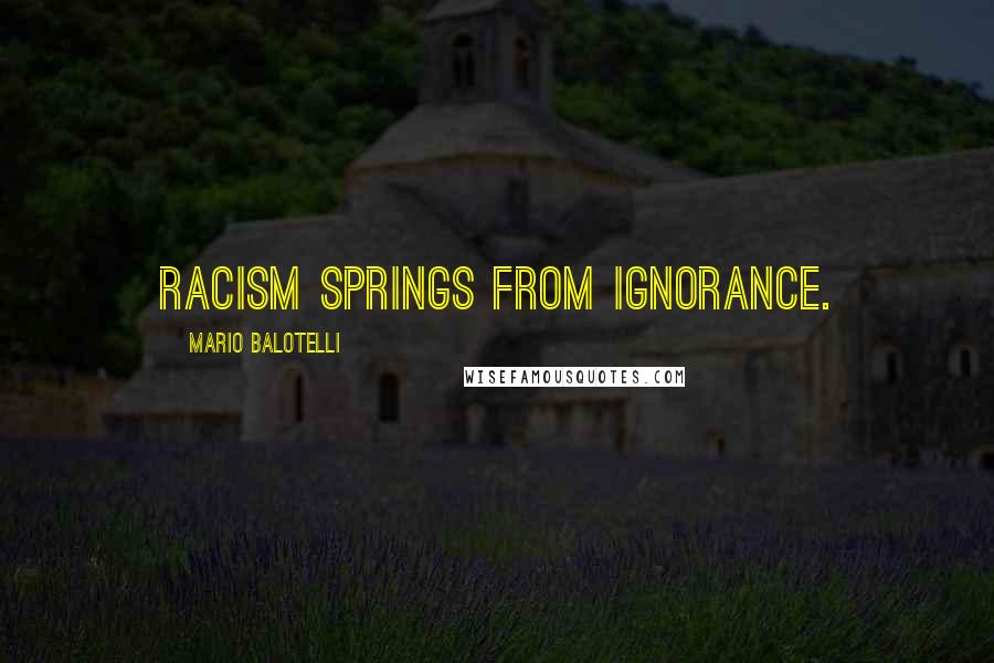 Mario Balotelli Quotes: Racism springs from ignorance.