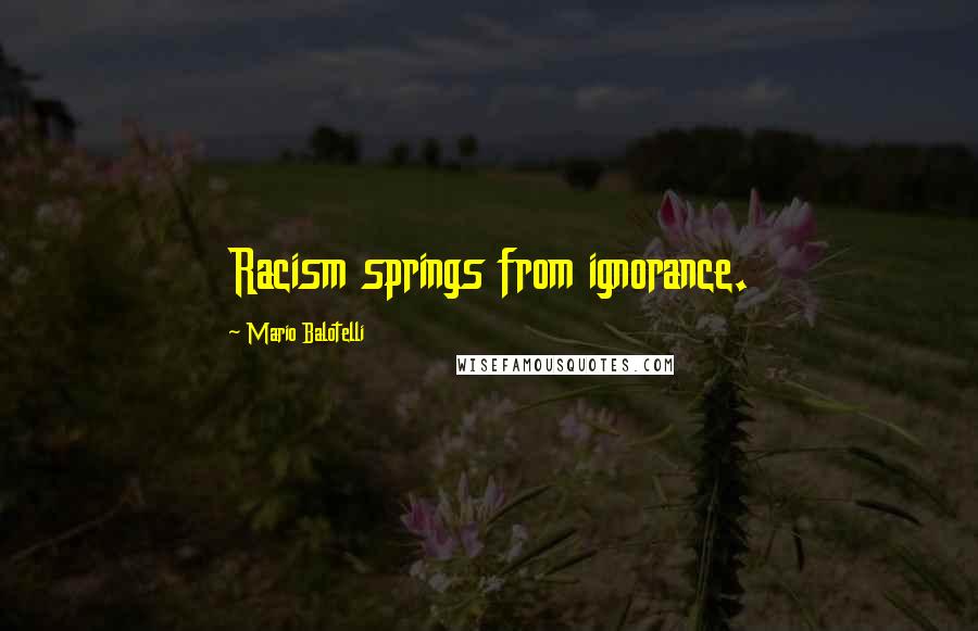 Mario Balotelli Quotes: Racism springs from ignorance.