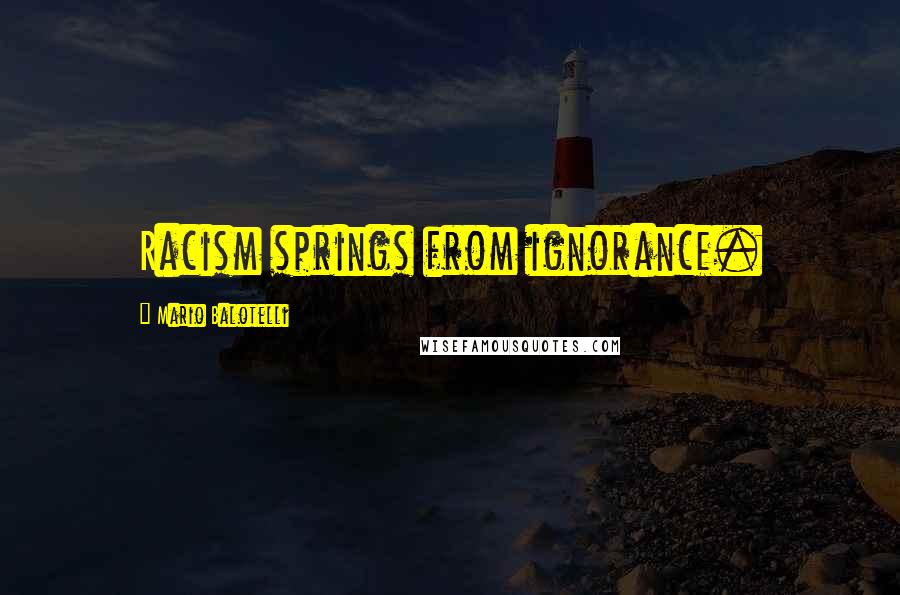 Mario Balotelli Quotes: Racism springs from ignorance.