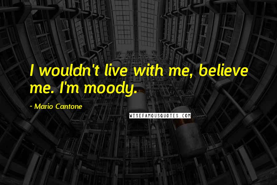 Mario Cantone Quotes: I wouldn't live with me, believe me. I'm moody.
