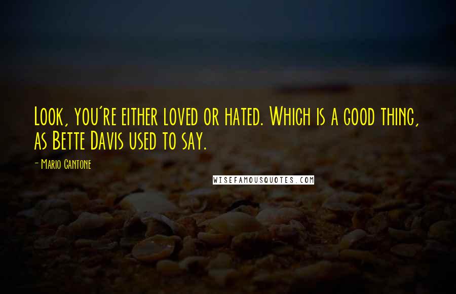 Mario Cantone Quotes: Look, you're either loved or hated. Which is a good thing, as Bette Davis used to say.