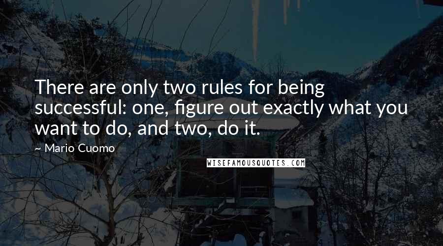 Mario Cuomo Quotes: There are only two rules for being successful: one, figure out exactly what you want to do, and two, do it.