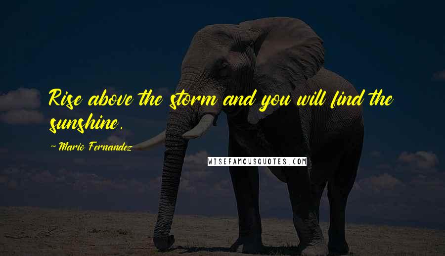 Mario Fernandez Quotes: Rise above the storm and you will find the sunshine.