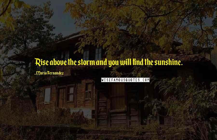 Mario Fernandez Quotes: Rise above the storm and you will find the sunshine.