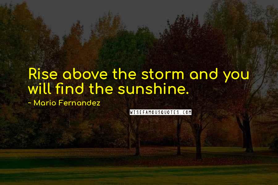 Mario Fernandez Quotes: Rise above the storm and you will find the sunshine.