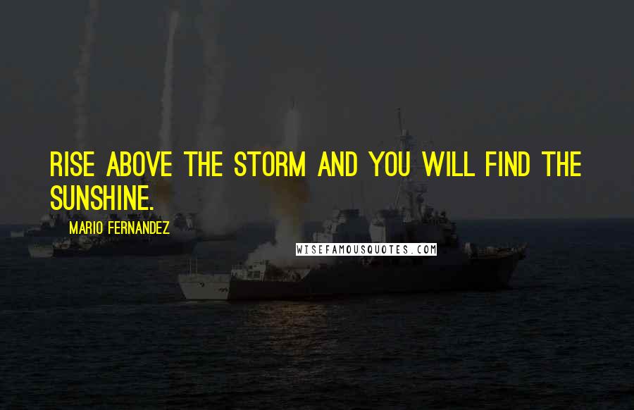 Mario Fernandez Quotes: Rise above the storm and you will find the sunshine.