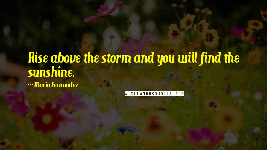 Mario Fernandez Quotes: Rise above the storm and you will find the sunshine.