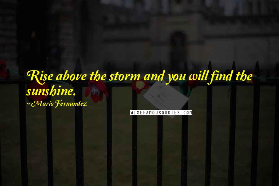 Mario Fernandez Quotes: Rise above the storm and you will find the sunshine.