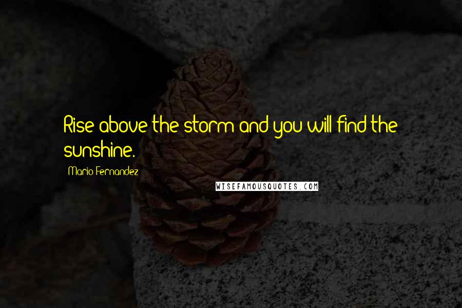 Mario Fernandez Quotes: Rise above the storm and you will find the sunshine.