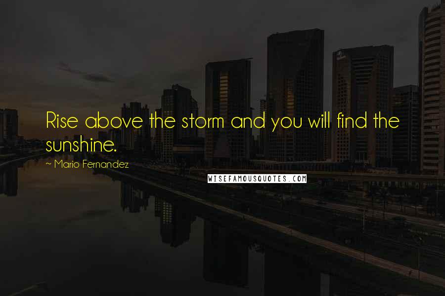 Mario Fernandez Quotes: Rise above the storm and you will find the sunshine.
