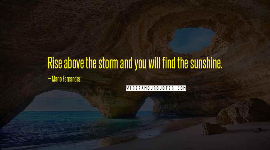 Mario Fernandez Quotes: Rise above the storm and you will find the sunshine.