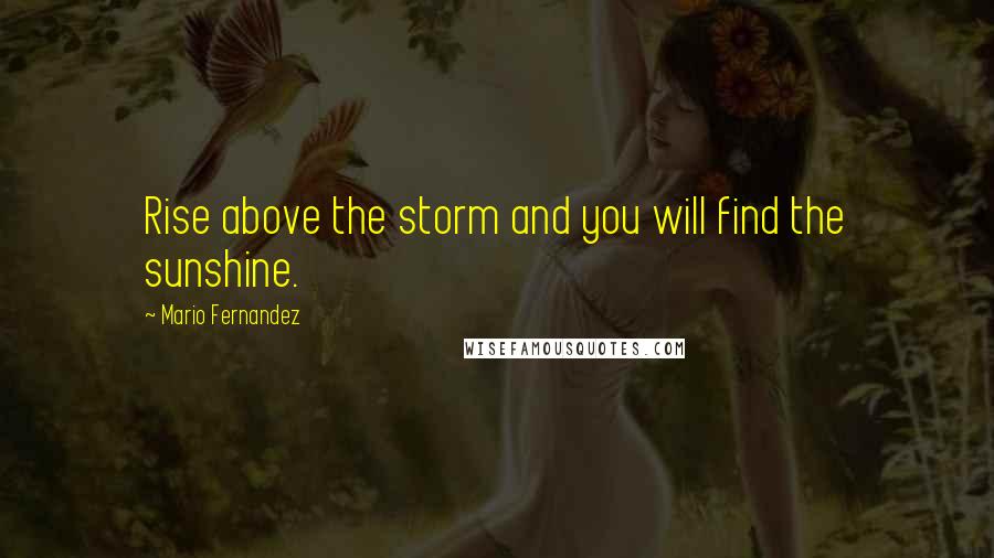 Mario Fernandez Quotes: Rise above the storm and you will find the sunshine.