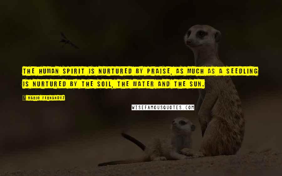 Mario Fernandez Quotes: The human spirit is nurtured by praise, as much as a seedling is nurtured by the soil, the water and the sun.