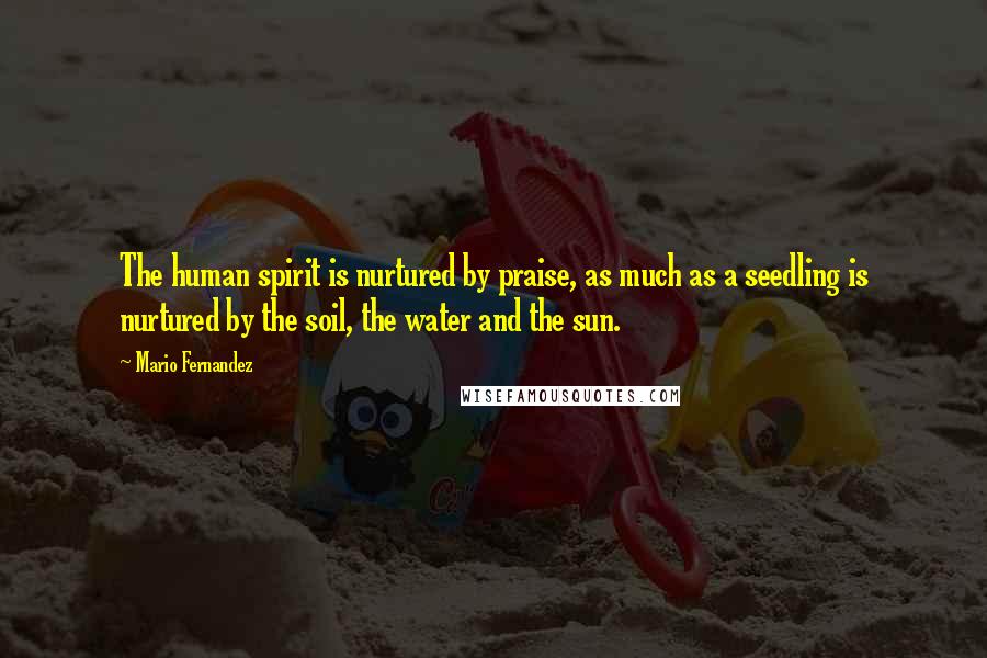 Mario Fernandez Quotes: The human spirit is nurtured by praise, as much as a seedling is nurtured by the soil, the water and the sun.