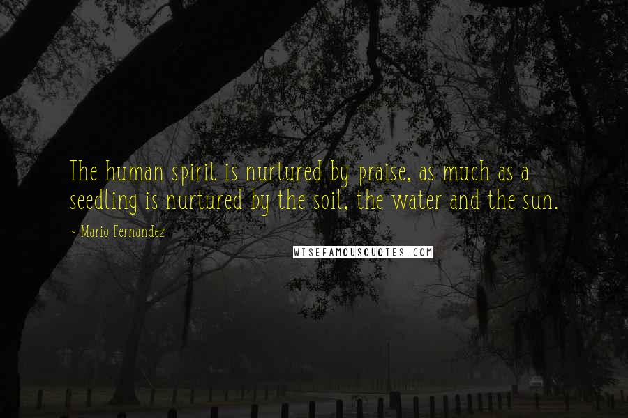 Mario Fernandez Quotes: The human spirit is nurtured by praise, as much as a seedling is nurtured by the soil, the water and the sun.