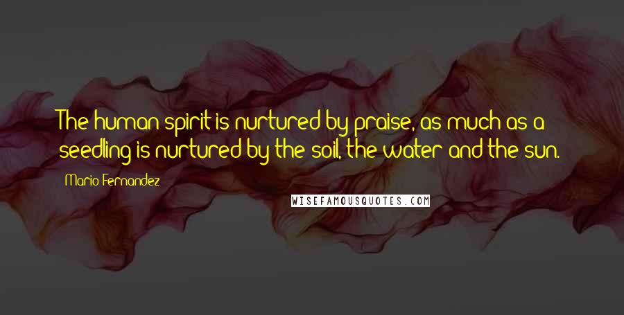 Mario Fernandez Quotes: The human spirit is nurtured by praise, as much as a seedling is nurtured by the soil, the water and the sun.