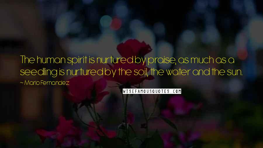 Mario Fernandez Quotes: The human spirit is nurtured by praise, as much as a seedling is nurtured by the soil, the water and the sun.